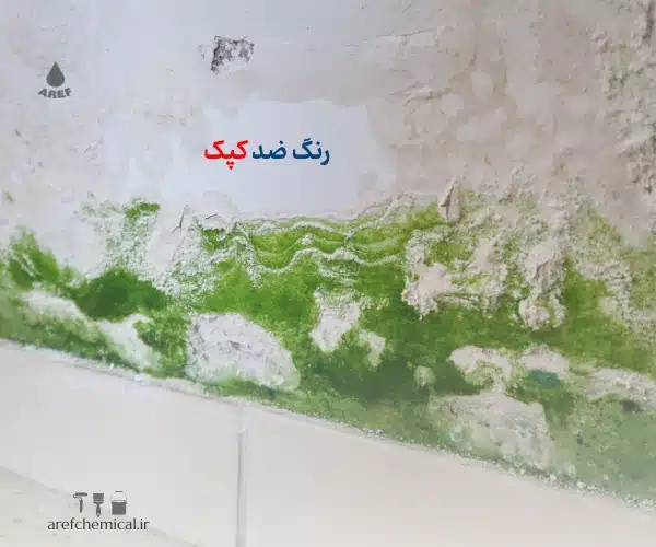 رنگ ضد کپک
